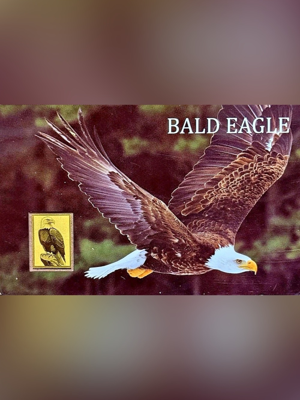 Bald Eagle 1/1000oz PURE GOLD BAR in Wallet Assay Card (.999 Fine, 24k)
